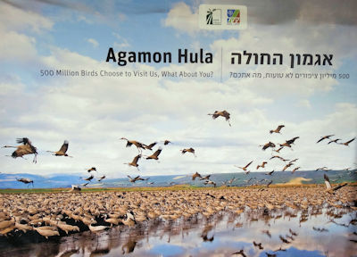 Agamon Hula
